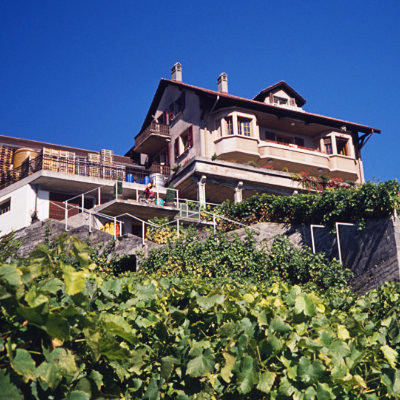 Farm where I picked grapes, Lausanne, 1990