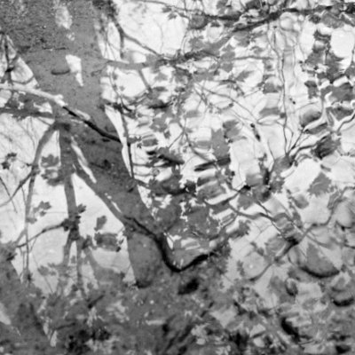 Puddle