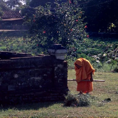 A monk gardening, Wat Trapang Thong, Sukhothai