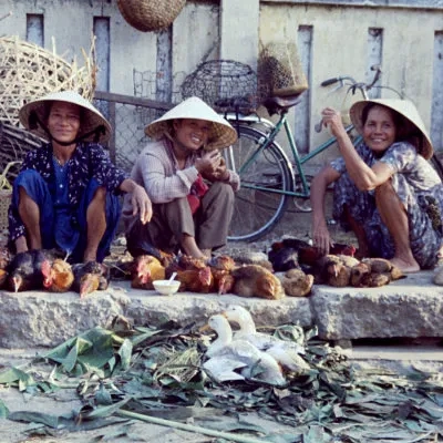 Women selling ducks and hens, Da Nang