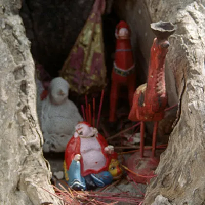 Divinities in a tree, Nha Trang